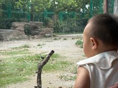 -上海野生动物园老虎餐厅