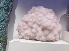 -重庆自然博物馆(新馆)