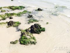 -滴水丹屏