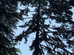 -青岛德国监狱旧址博物馆