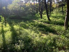 -长春市南湖公园