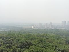 -宜兴龙背山森林公园