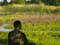 -白鹭湾湿地公园