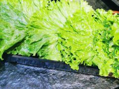 -火炉旺烤肉啤酒屋(沈北创始店)