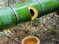 -美优乐(阳春红旗路店)