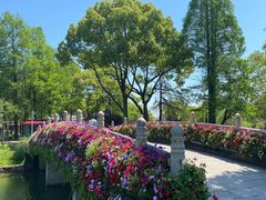 -苏州上方山国家森林公园