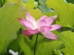 -贵阳市花溪国家城市湿地公园