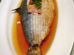 古法蒸鲥鱼-宝燕壹号(长寿店)