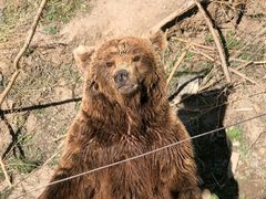 -新疆天山野生动物园