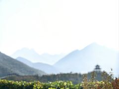 -狼牙山风景区