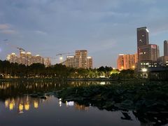 -后襄河公园