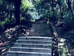 -灵岩山风景区