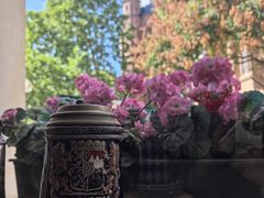 -Restaurant Paulaner am Dom