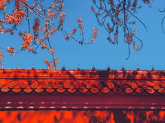 -故宫博物院(故宫)