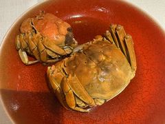 -老吉士酒家(天平路店)