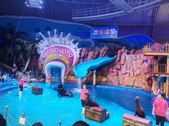 -烟台海昌鲸鲨海洋公园