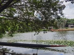 -荔湾湖公园