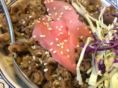 -春草居酒屋·晴子の店