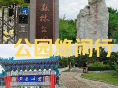 -云岗森林公园