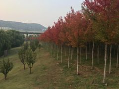 -山东大学(兴隆山校区)