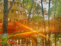 -东湖落雁景区