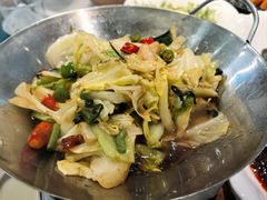-丁老爷子苏香圆