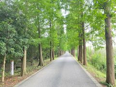 -广富林郊野公园