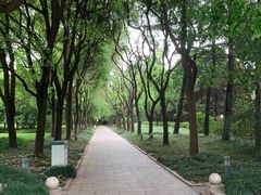 -宋庆龄陵园