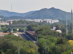 -白水寺森林公园