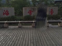 -香雪海