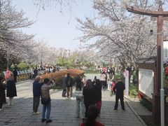 -堤角公园