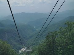 -牛背梁国家森林公园