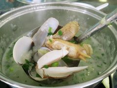 -蚝专家