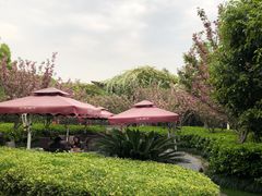 -荷风细雨·中国茶宴(碧云店)