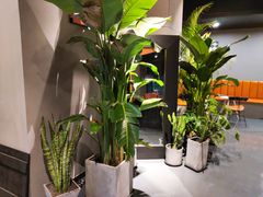 -UMe·玖觅(曲江店)