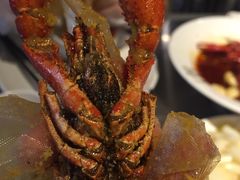 -龙巢盱眙龙虾·牛蛙·烧烤宵夜(八卦岭店)
