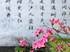 -桐乡红杉邨
