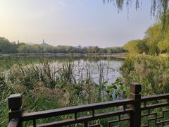 -北坞公园