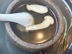 -马仕玖煲·融合菜·酥不腻烤鸭(人大店)