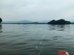 -西湖游船