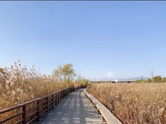 -绿堤公园