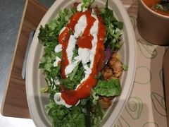 -油梨树AVOCADO TREE(顺义新国展店)