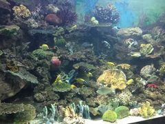 -常州海昌海洋探索馆