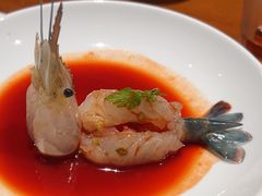 -觀芷隐轩