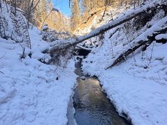 -峡谷浮石林景区