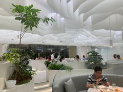 -大树餐厅(朝阳大悦城店)