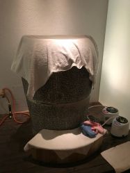-美玫美容SPA护理中心