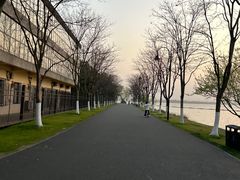 -东湖落雁景区