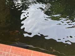 -侠成水上农庄(工业大道店)