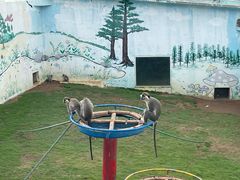 -西霞口神雕山野生动物世界